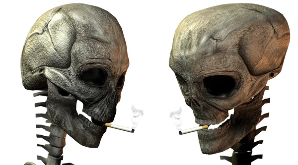 Two 3D skulls with cigarette — Stock Photo, Image