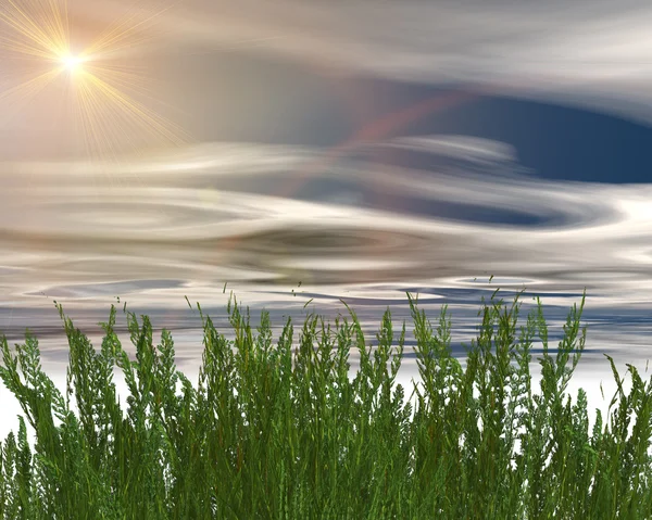3D green grass and blue sky — Stockfoto