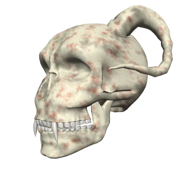 3D velký realistický lebka izolovaných na bílém — Stock fotografie