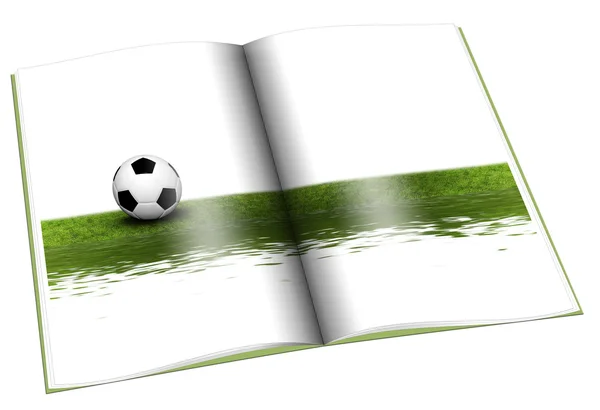 Book with Soccer ball on green grass — Stock Photo, Image