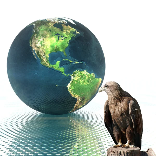 3D kula ziemska z orłem — Zdjęcie stockowe
