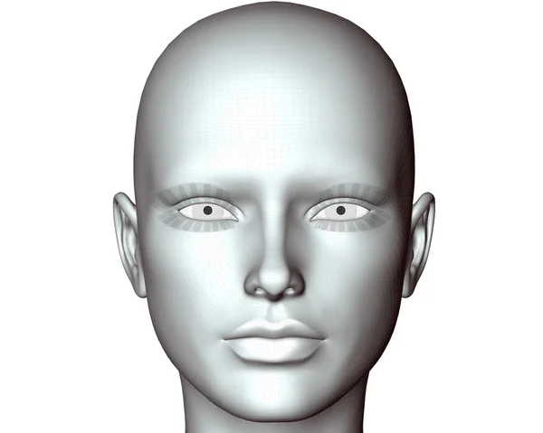 3D cyber twarz dziewczyny — Zdjęcie stockowe