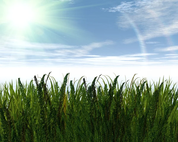 3D grünes Gras und blauer Himmel — Stockfoto