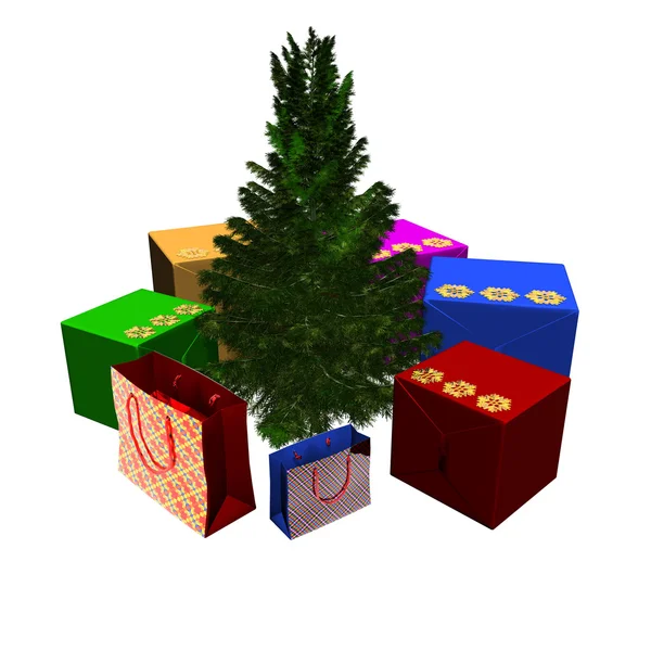 Kala julgran redo att dekorera med gåva — Stockfoto