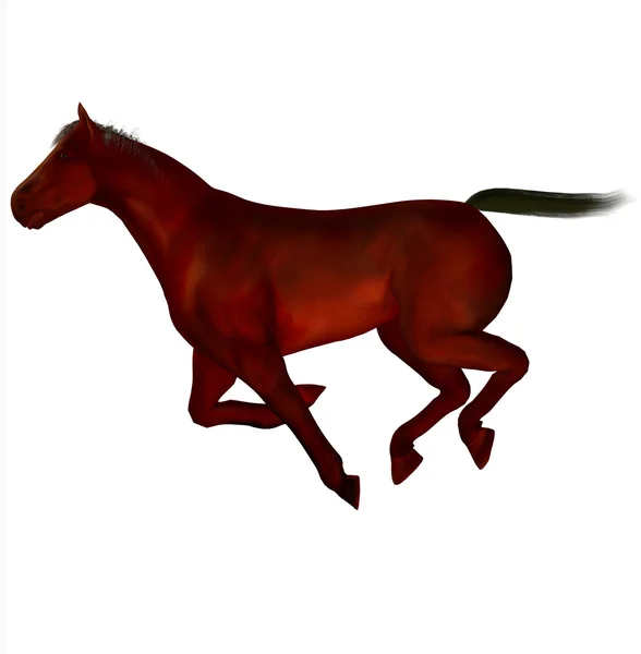 3D bellissimo cavallo — Foto Stock