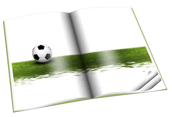 Boek met voetbal op groen gras — Stockfoto