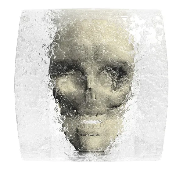 Schädel in Eiswürfel isoliert auf weißem Untergrund — Stockfoto
