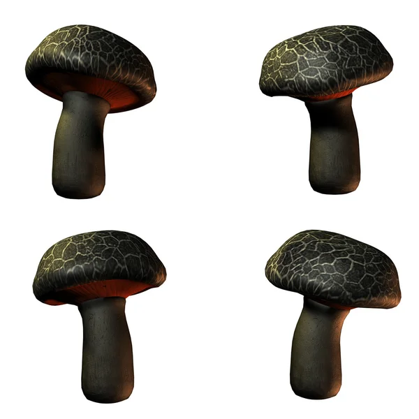 stock image Mushrooms in 3D