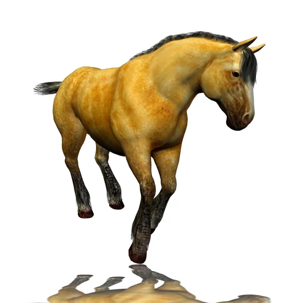 3D όμορφο άλογο — Φωτογραφία Αρχείου