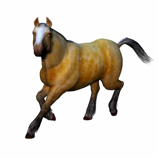 3D piękny koń — Zdjęcie stockowe