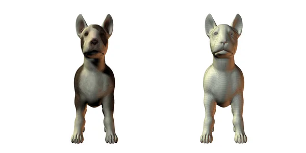 Stier terrior hond 3D-model — Stockfoto