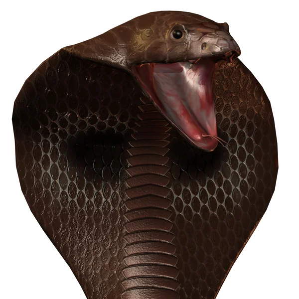 3D змея кобра изолирована на белом — стоковое фото