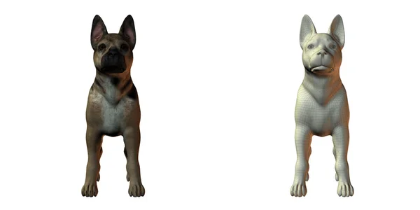 Pásztor kutya 3D-s modell — Stock Fotó
