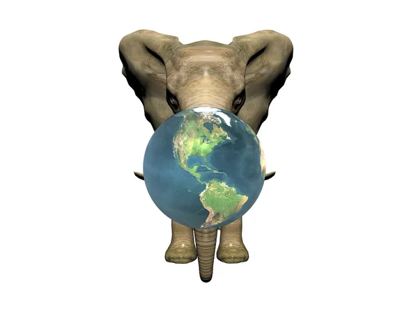 코끼리와 흰색 절연 지구 — Stock Fotó