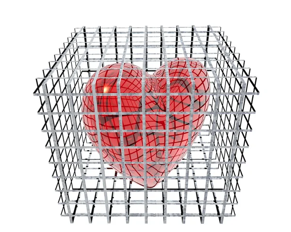 3D serca klatka na białym tle — Zdjęcie stockowe
