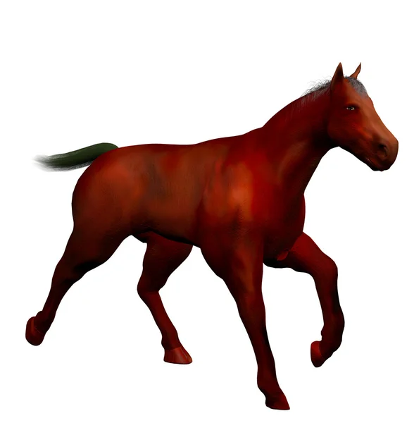 3d schönes Pferd — Stockfoto