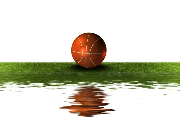 Basket ball sur l'herbe verte — Photo