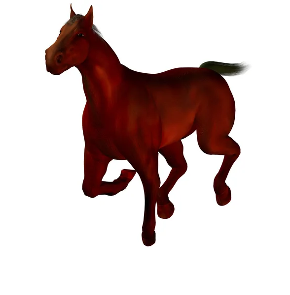 3D piękny koń — Zdjęcie stockowe