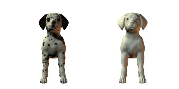 Dalmation köpek 3d modeli — Stok fotoğraf