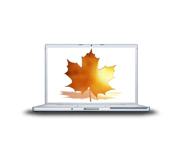 3D akçaağaç yaprağı laptop — Stok fotoğraf
