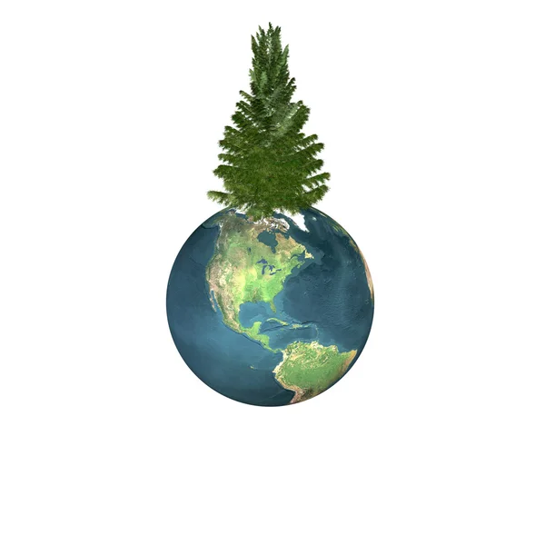 Christmas tree ready to decorate on earth — Stok fotoğraf