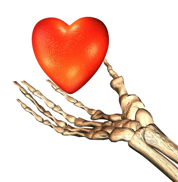 Corazón rojo 3D en los huesos mano —  Fotos de Stock