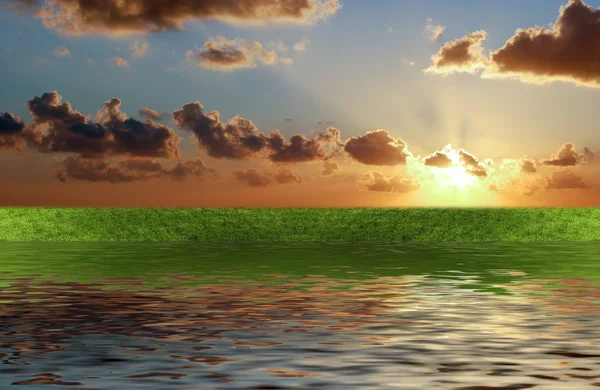 Zielona trawa z zachodem słońca — Zdjęcie stockowe