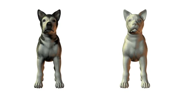 Malamute kutya 3D-s modell — Stock Fotó