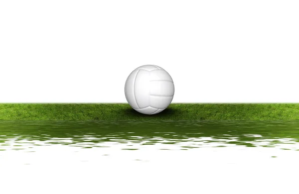 Volley ball on the green grass — Stock Photo, Image