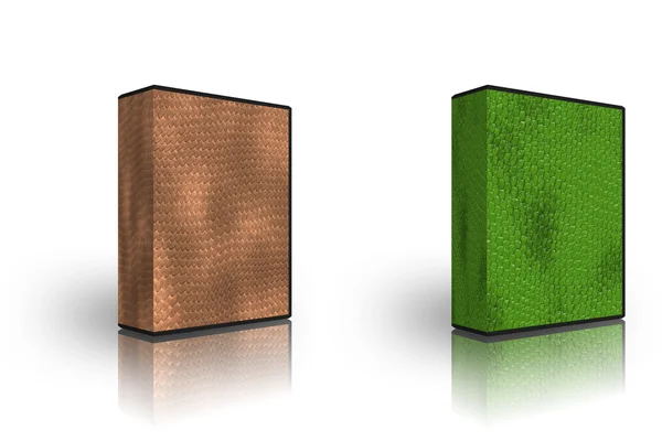 2 つの空白の青銅と緑色のヘビ毛皮ボックス templat — ストック写真