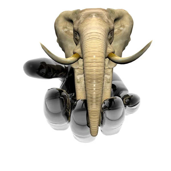 Elephant on the hand — Stock Photo, Image