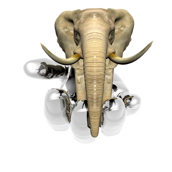Ελέφαντας αφ — Φωτογραφία Αρχείου