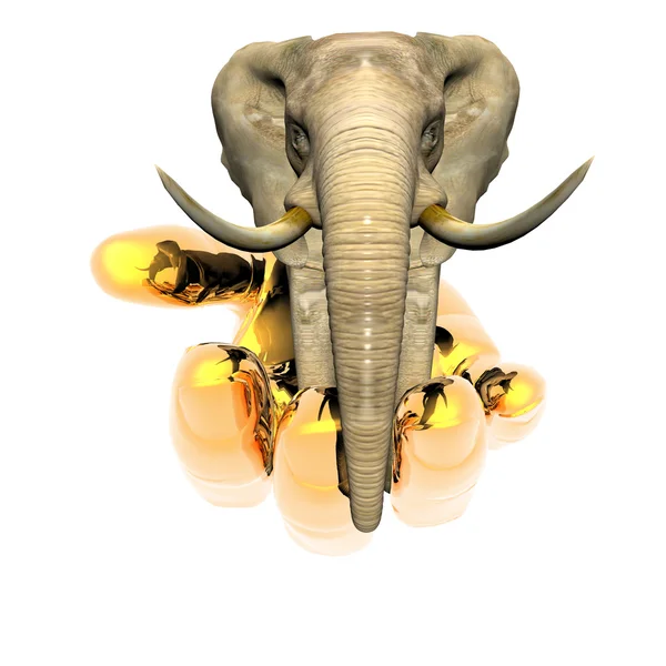 Elefant på handen — Stockfoto