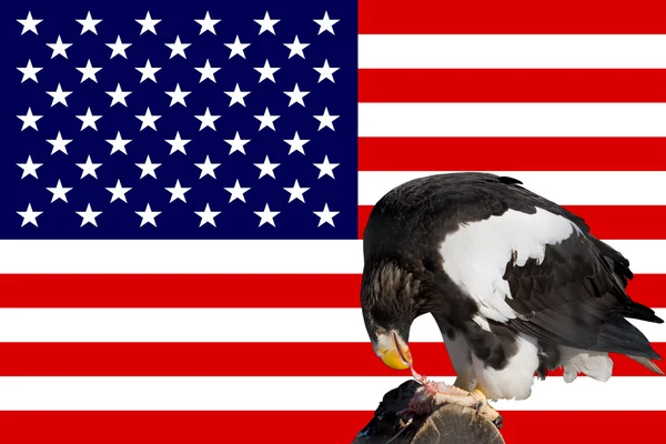 Eagle tegenover de Amerikaanse vlag — Stockfoto