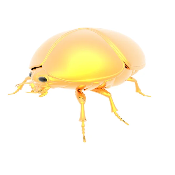 Golden bug — Stock Photo, Image