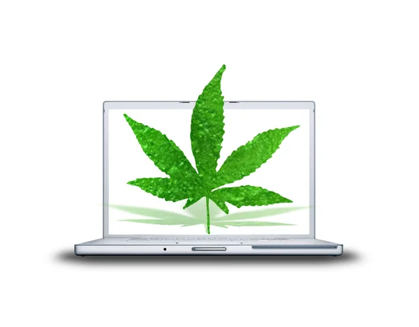 3D canabis leaf op laptop — Stockfoto