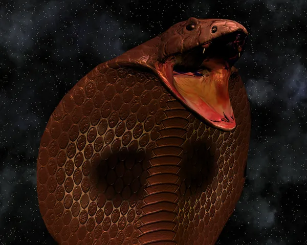 Serpente cobra — Foto Stock