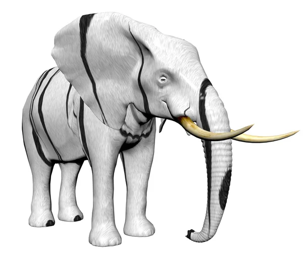Слон в большой кошачьей шерсти — стоковое фото