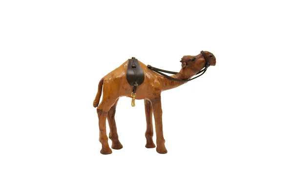 在一张白纸被隔绝的阿拉伯骆驼 — 图库照片