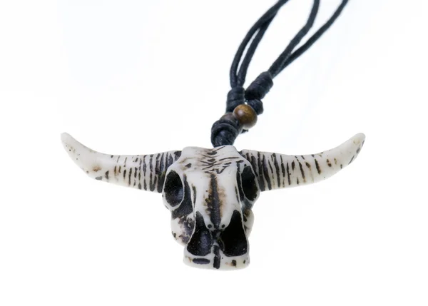 Longhorn Skull on white — Stock Photo, Image