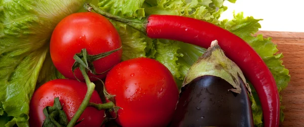 Tomato and salad — Stock Photo, Image