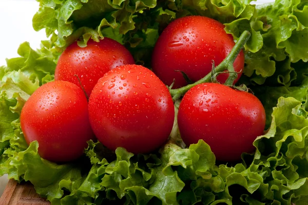 Tomate e salada — Fotografia de Stock