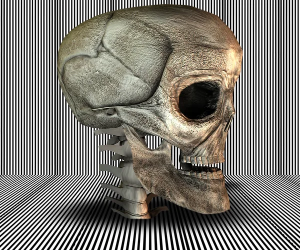 3 d の大きな現実的な頭蓋骨 ストック画像