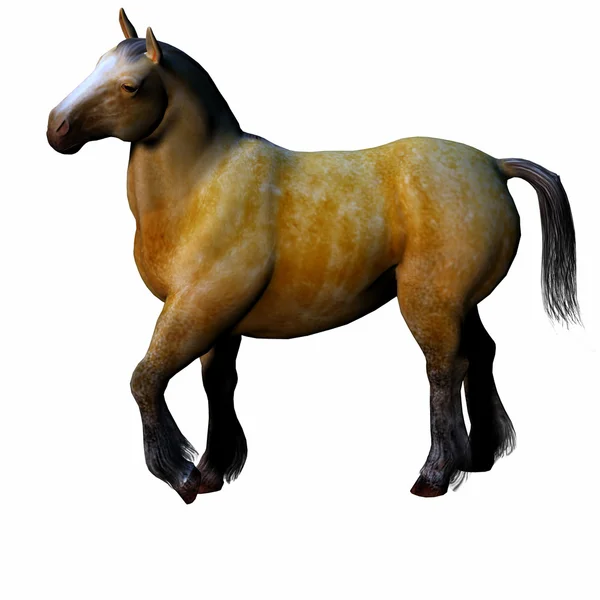 3D vackra häst — Stockfoto