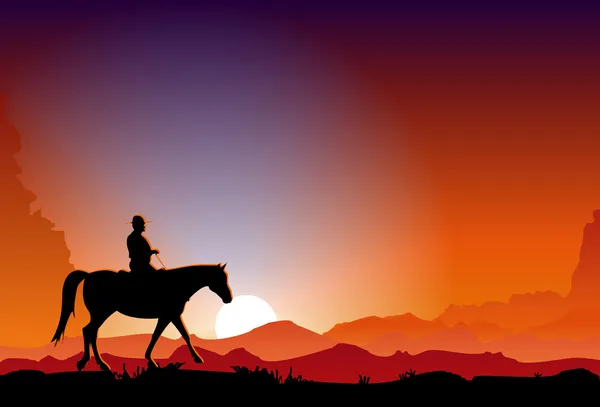 Cowboy im Sonnenuntergang — Stockvektor