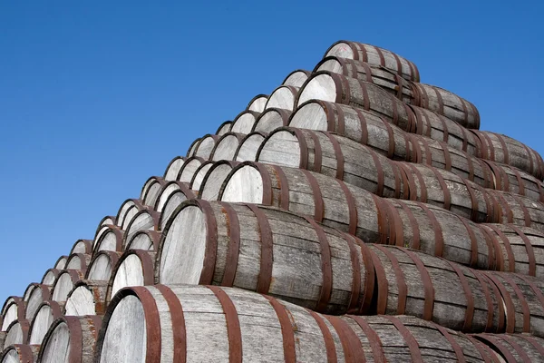 stock image Beer Barrels