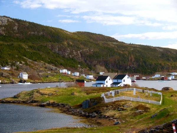 Newfoundland landsby – stockfoto