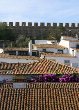 Obidos kale