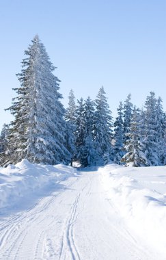 Winter Road clipart