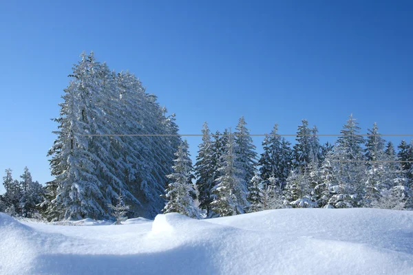 Winter Snow — Stock Photo, Image